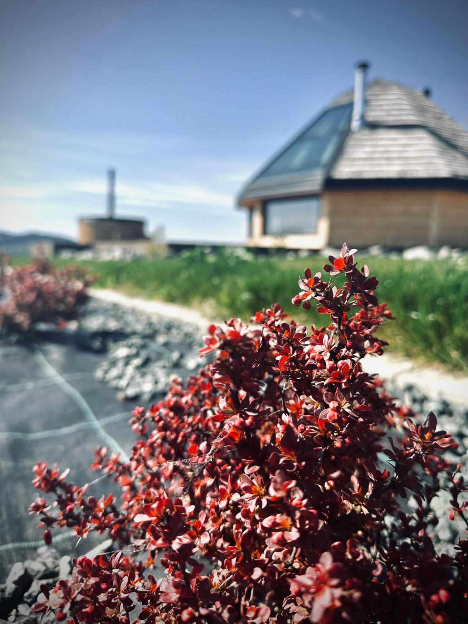 Heavenly Houses - Niebianskie Domki Jaworzynka Buitenkant foto